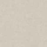 Misty | Architectural Film - CASAMONTE