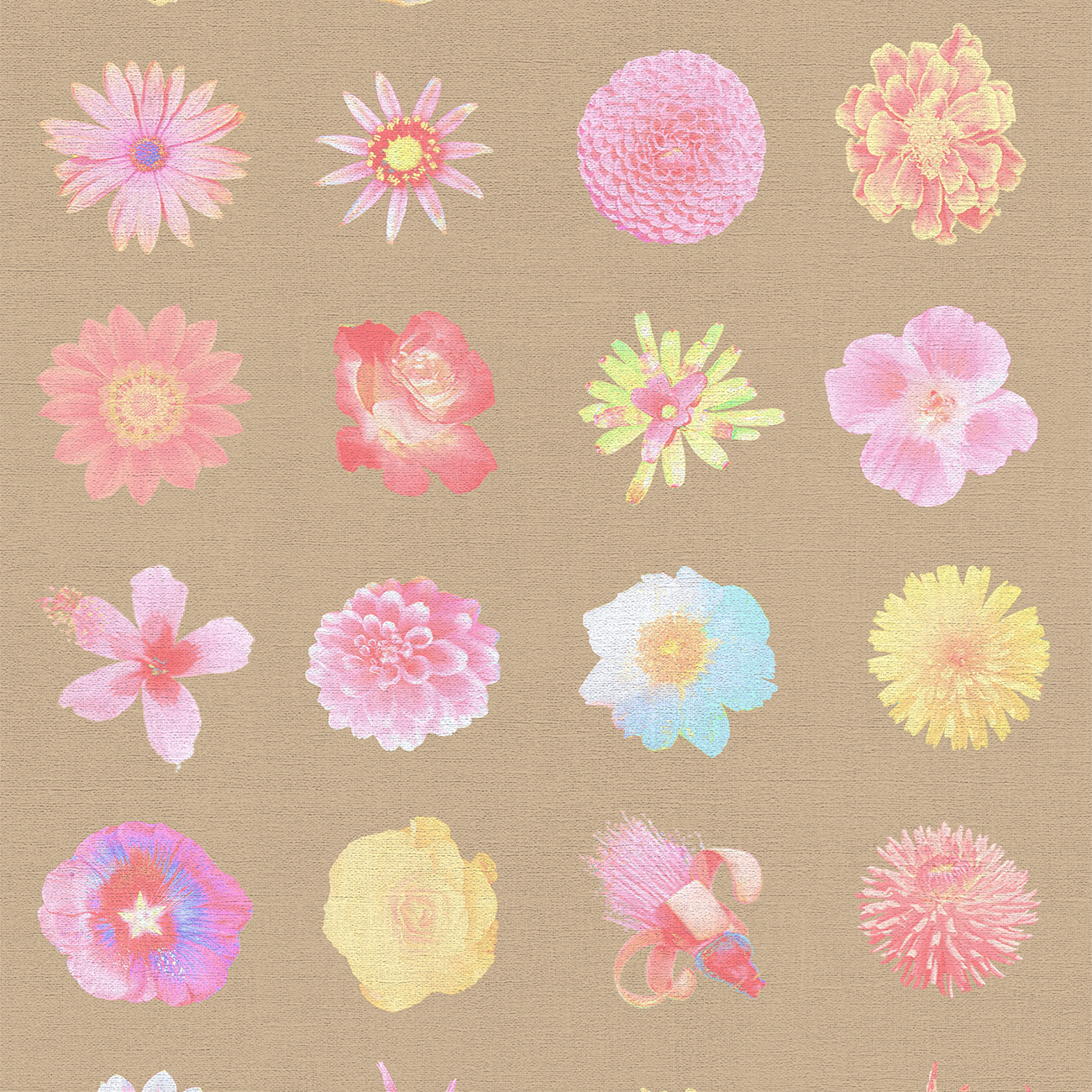 Sand Flowers Flowers and More Flores Wallpaper