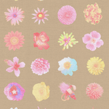 Sand Flowers Flowers and More Flores Wallpaper