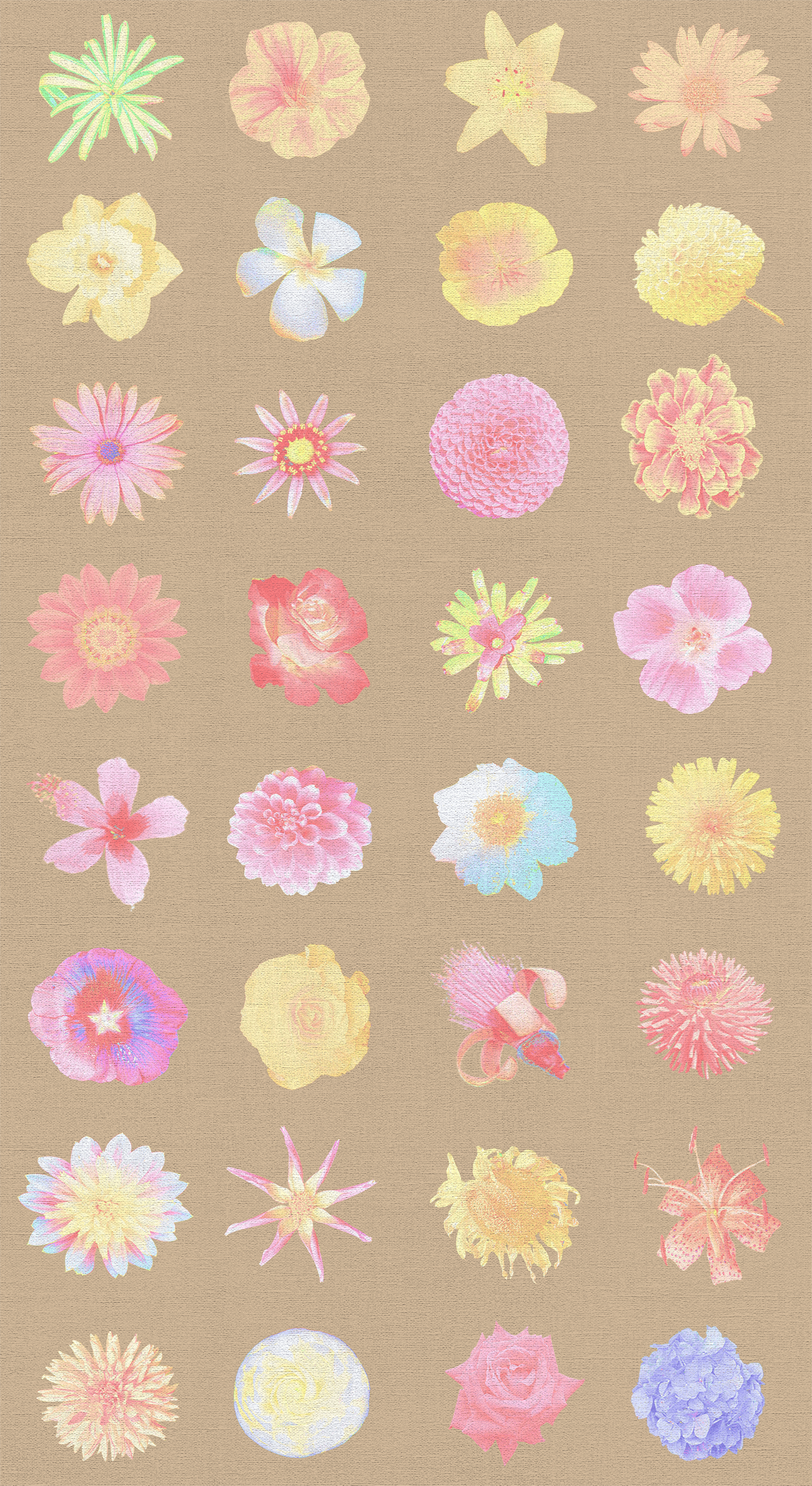 Sand Flowers Flowers and More Flores Wallpaper