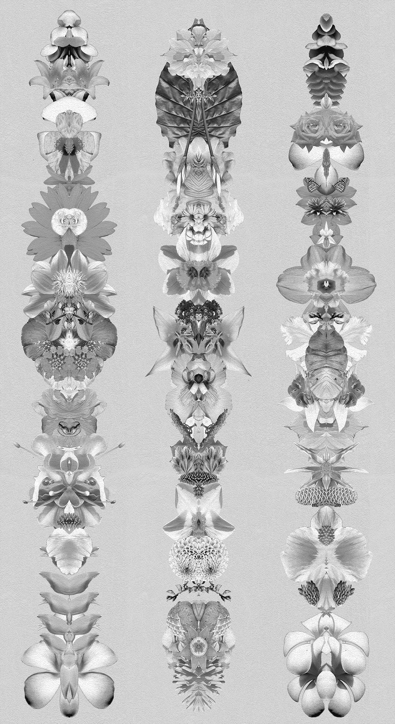 Silver Amuletes for Light Wallpaper