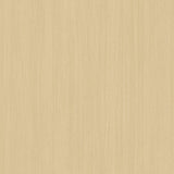 Texture Wood | Architectural Film - CASAMONTE