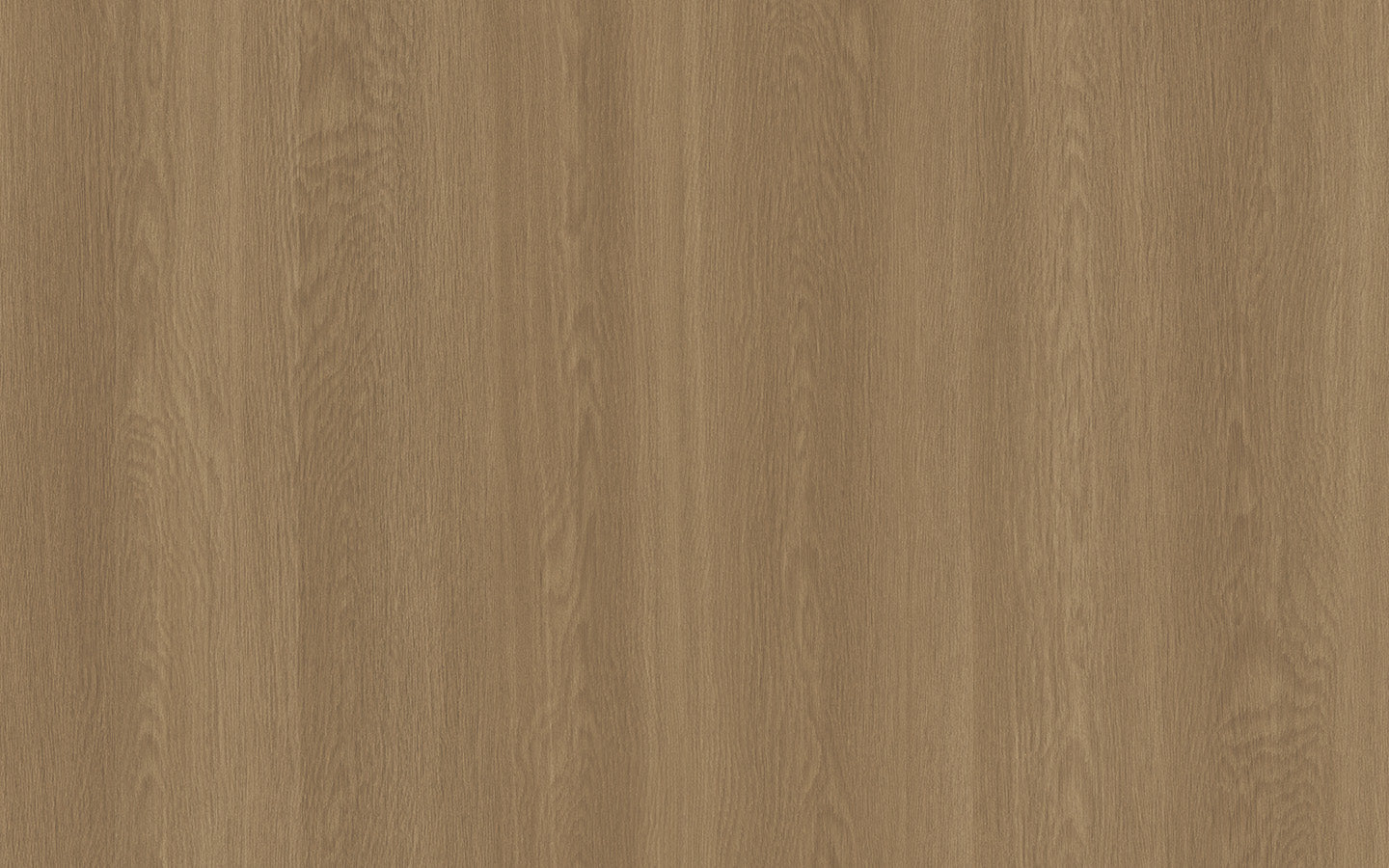 Texture Wood | Architectural Film - CASAMONTE