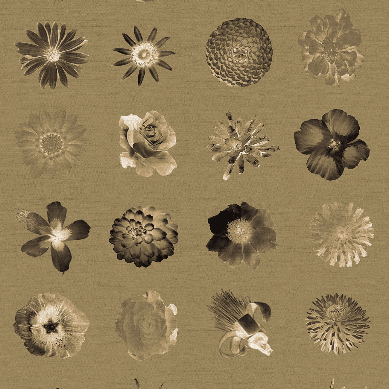 Vintage Flowers Flowers and More Flores Wallpaper