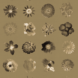 Vintage Flowers Flowers and More Flores Wallpaper