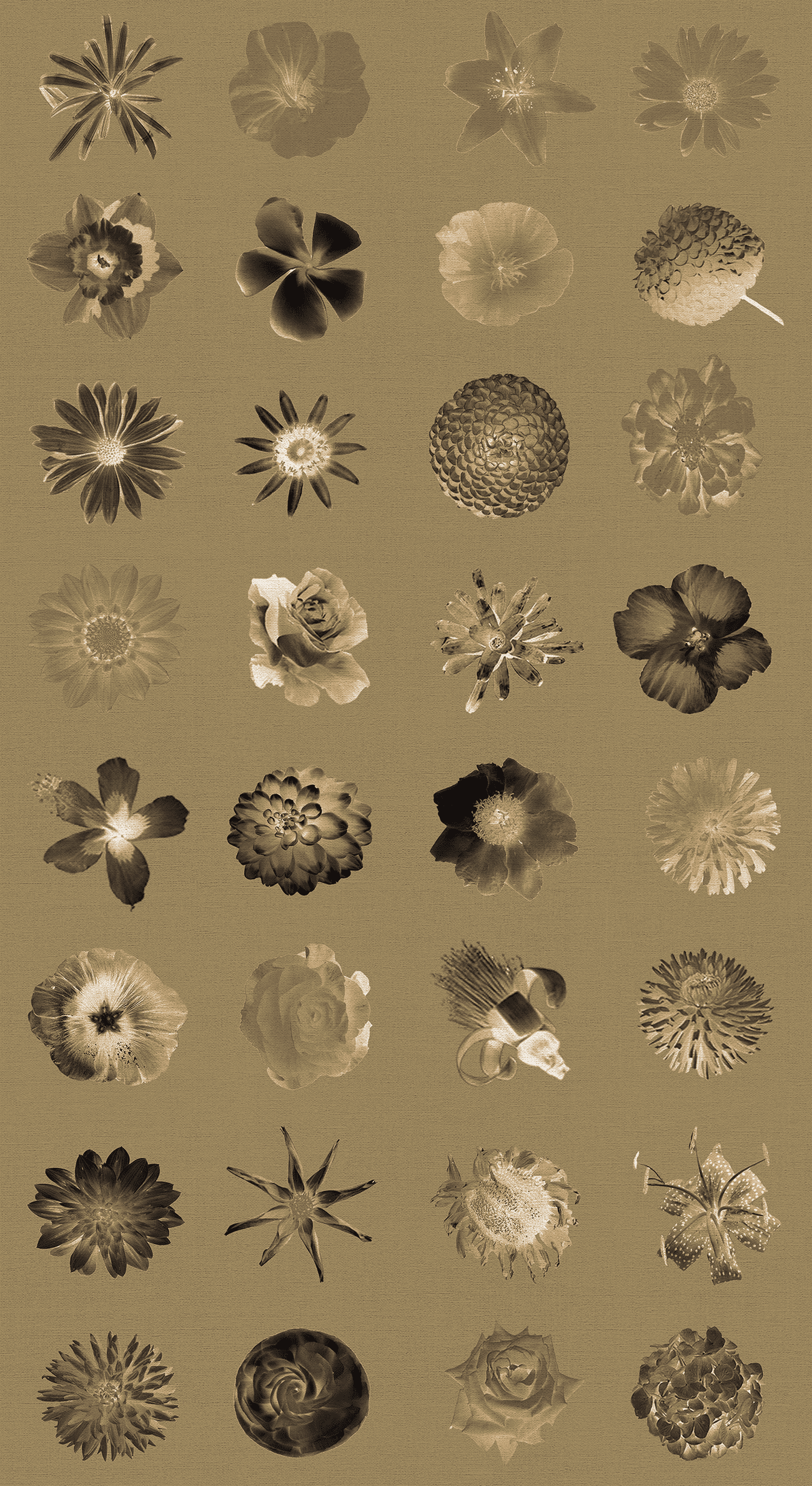 Vintage Flowers Flowers and More Flores Wallpaper