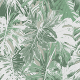 Rio Blanco - CASAMONTE