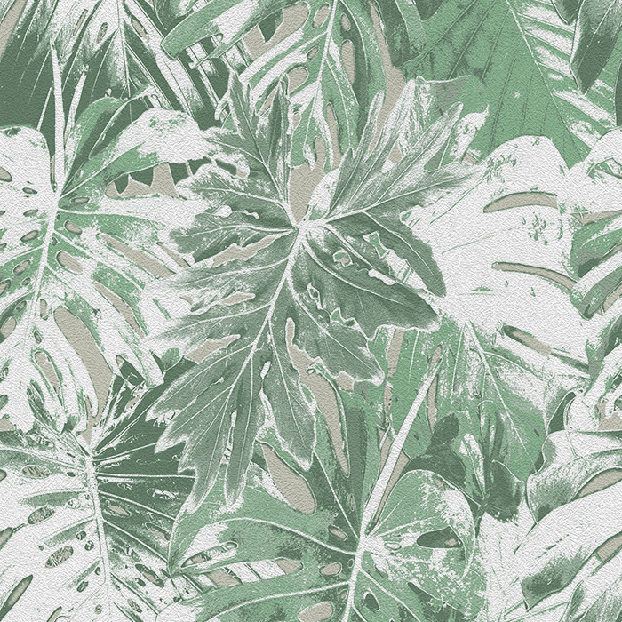 Rio Blanco - CASAMONTE