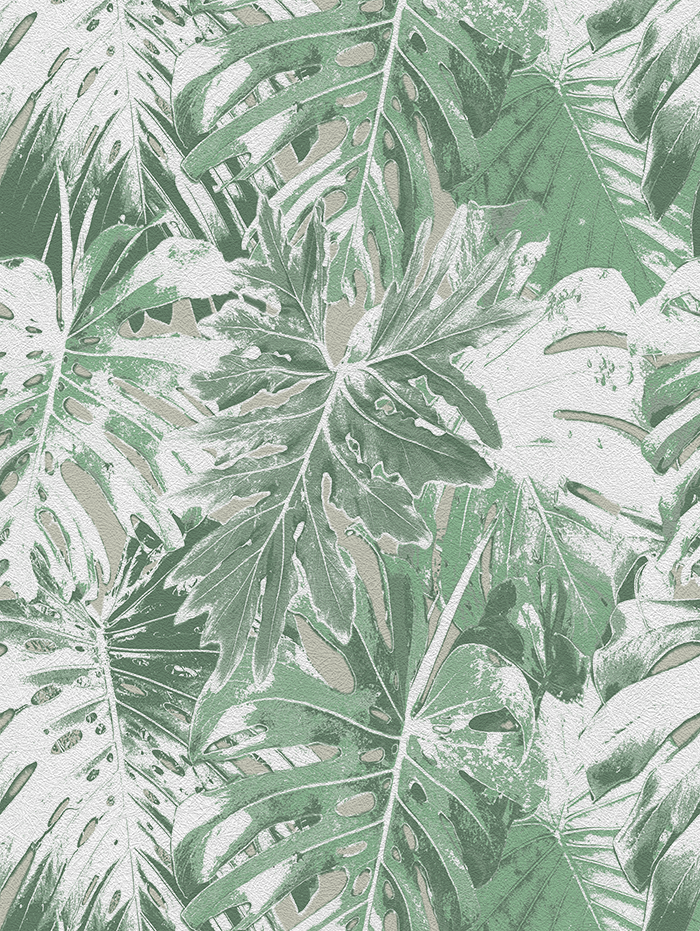 Rio Blanco - CASAMONTE