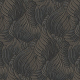 Botanica - CASAMONTE