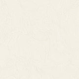 Parisian Veil - CASAMONTE