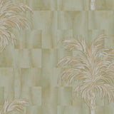 Palmetto Fiorentino - CASAMONTE