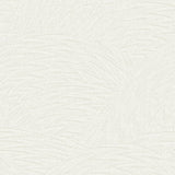 Aurora Palma - CASAMONTE