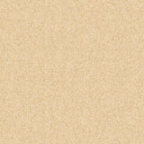 Bare Earth - CASAMONTE