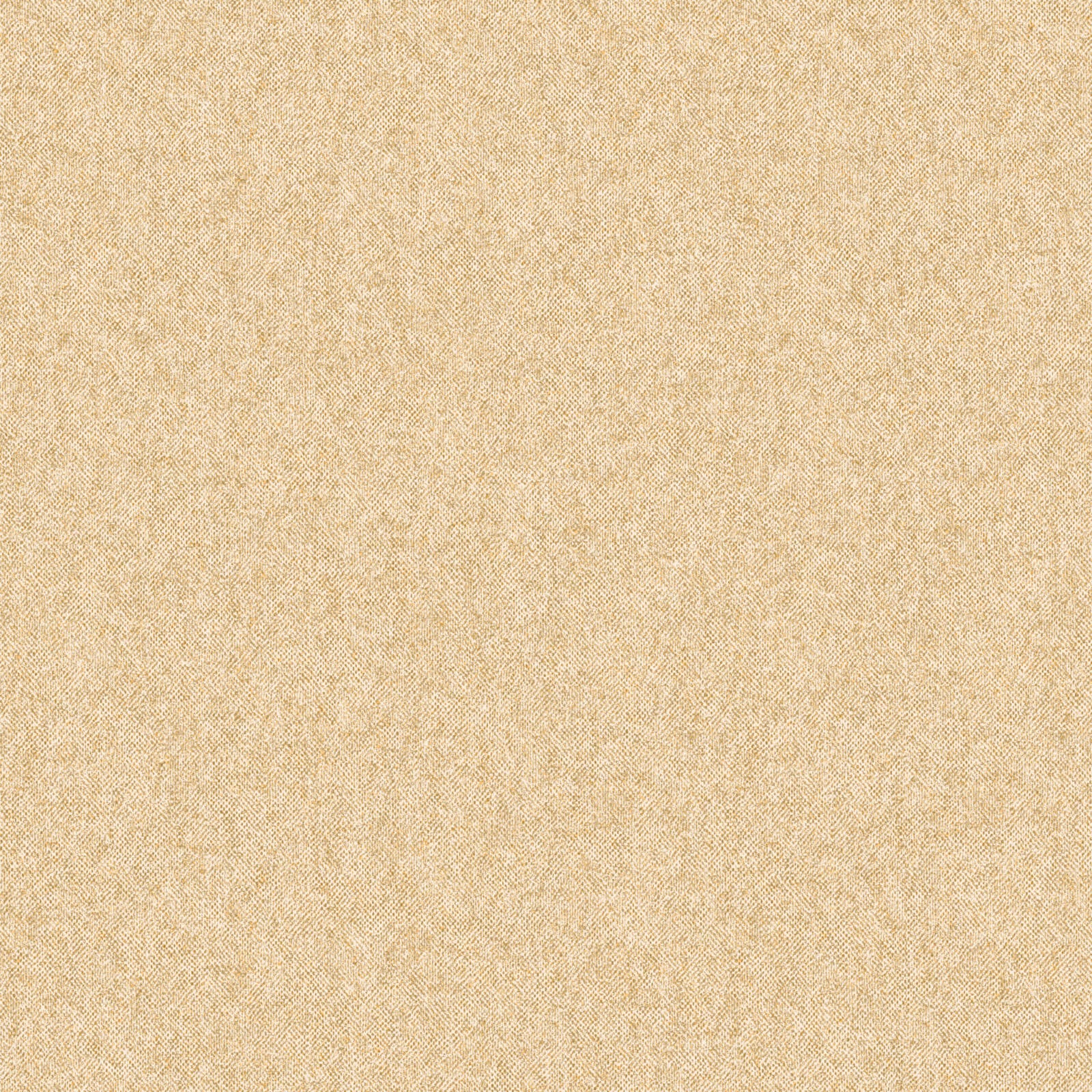 Bare Earth - CASAMONTE