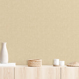 Bare Earth - CASAMONTE