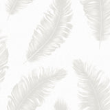 Piuma Nobile - CASAMONTE