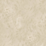 Savana Whisper - CASAMONTE