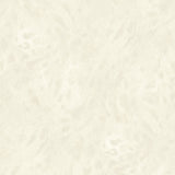 Savana Whisper - CASAMONTE