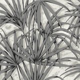 Endless Field - CASAMONTE