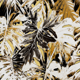 Rio Blanco - CASAMONTE