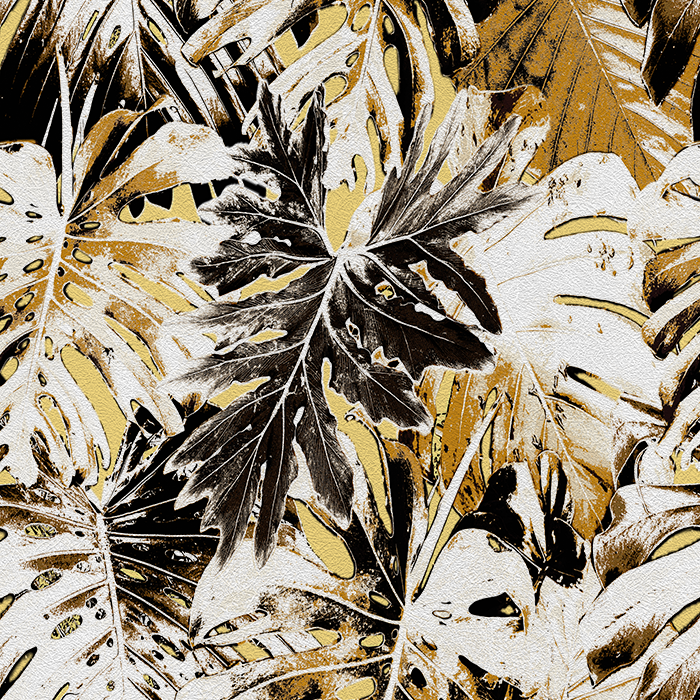 Rio Blanco - CASAMONTE