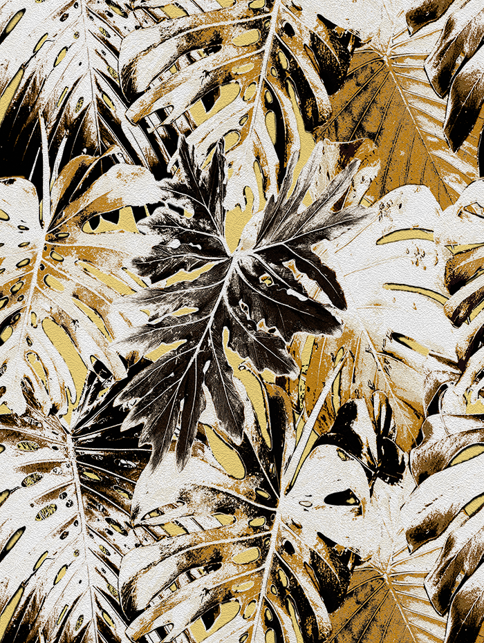 Rio Blanco - CASAMONTE