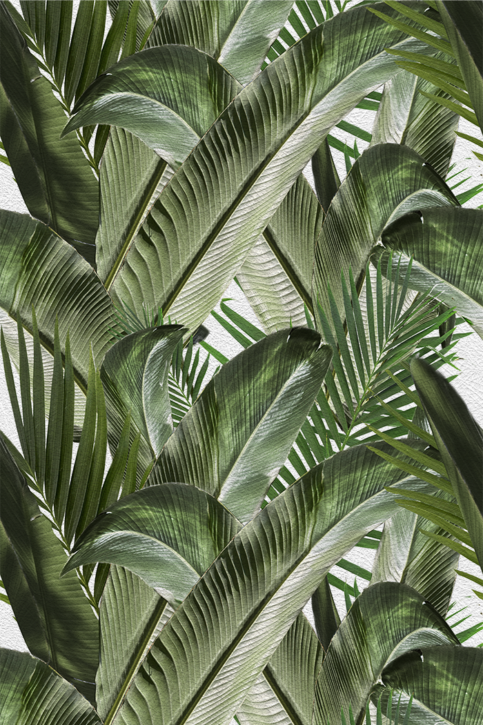 Enchanted Island - CASAMONTE