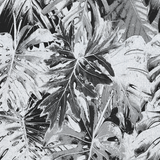 Rio Blanco - Curated hues - CASAMONTE