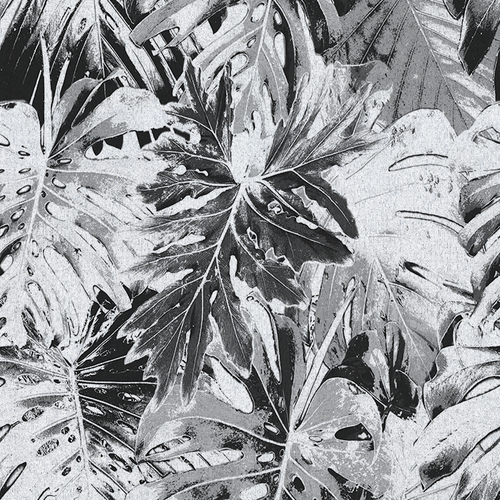 Rio Blanco - Curated hues - CASAMONTE