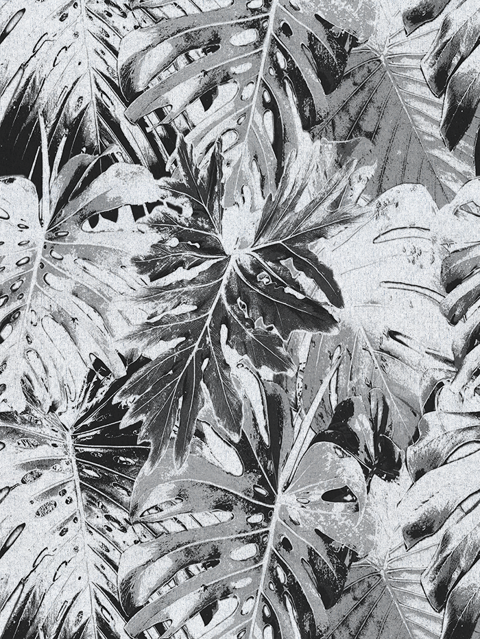 Rio Blanco - Curated hues - CASAMONTE