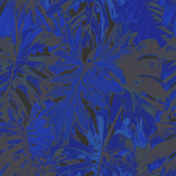 Rio Blanco - Curated hues - CASAMONTE