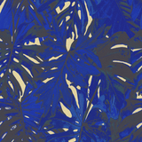 Rio Blanco - Curated hues - CASAMONTE