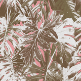 Rio Blanco - CASAMONTE