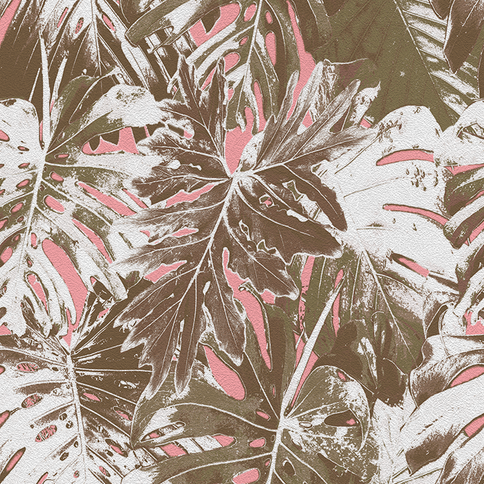 Rio Blanco - CASAMONTE