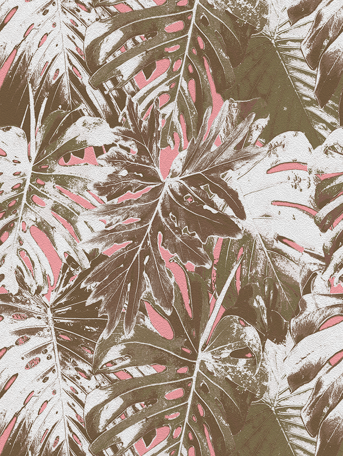 Rio Blanco - CASAMONTE