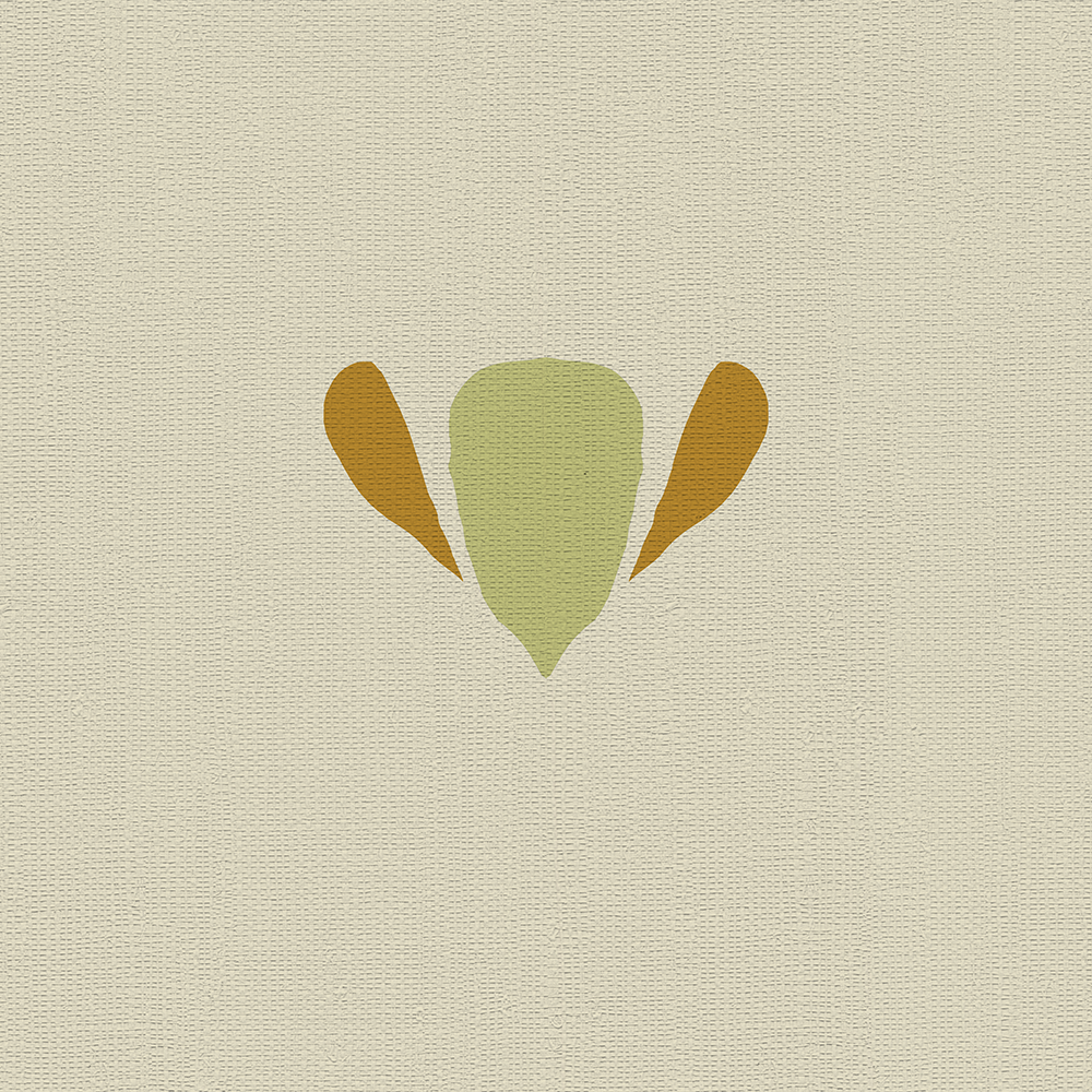 Maiz Beige - CASAMONTE