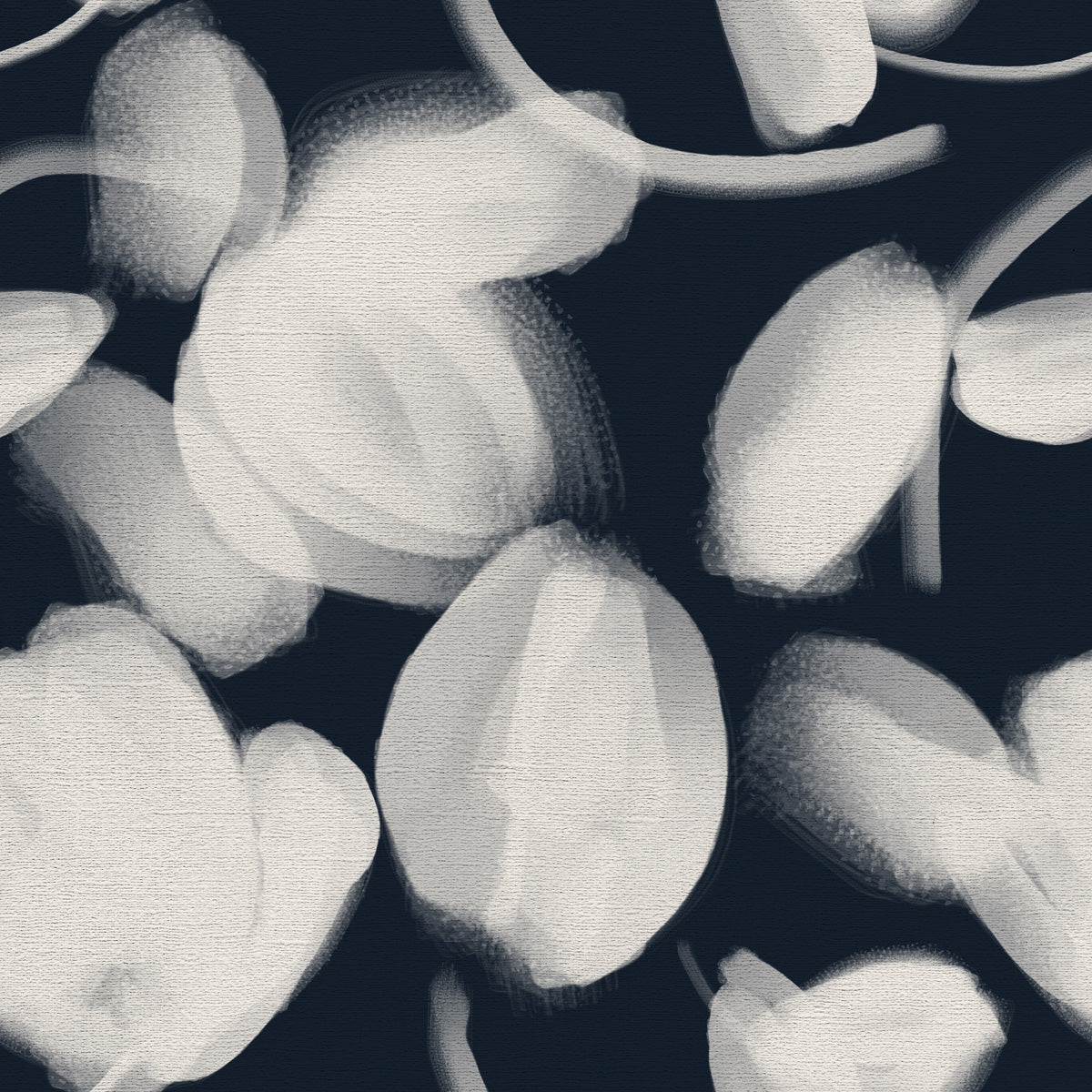 Petal Press - CASAMONTE