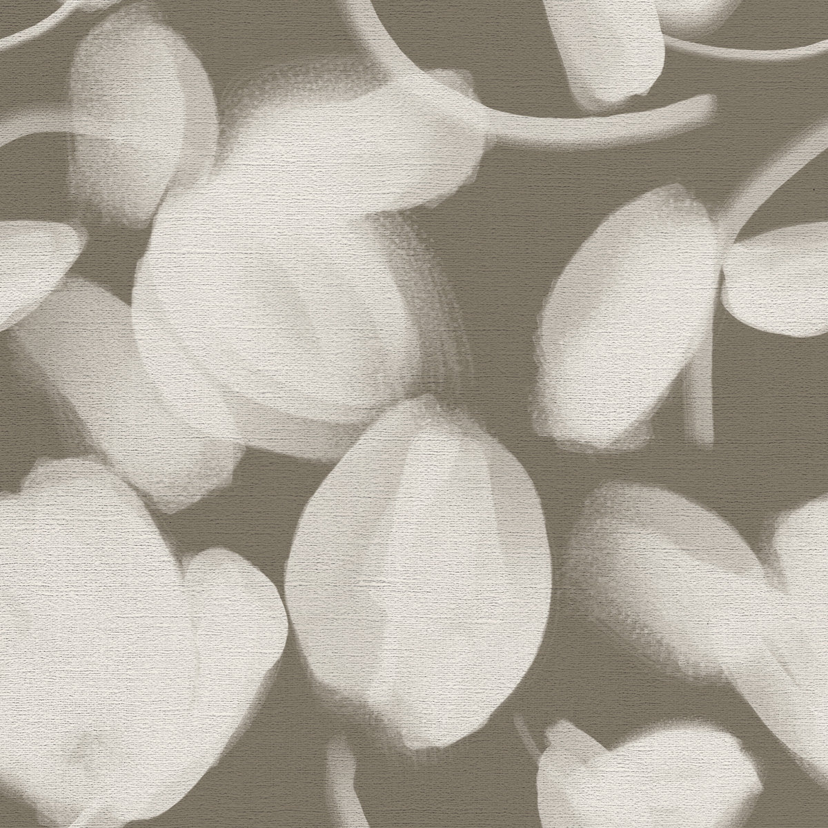 Petal Press - CASAMONTE