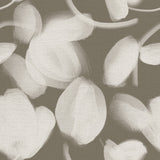 Petal Press - CASAMONTE