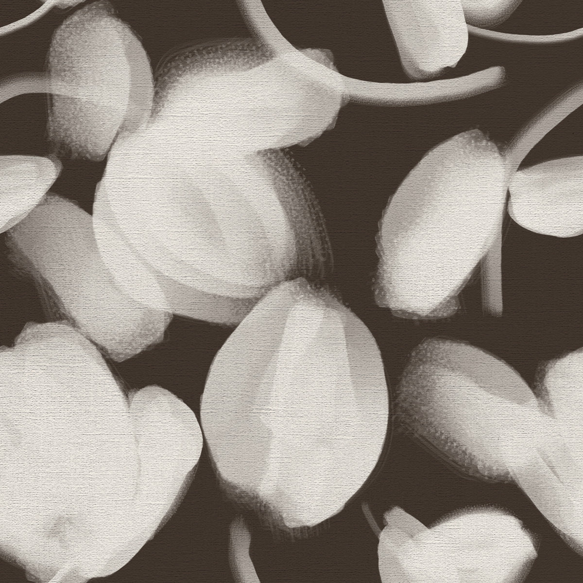 Petal Press - CASAMONTE