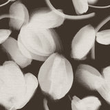 Petal Press - CASAMONTE