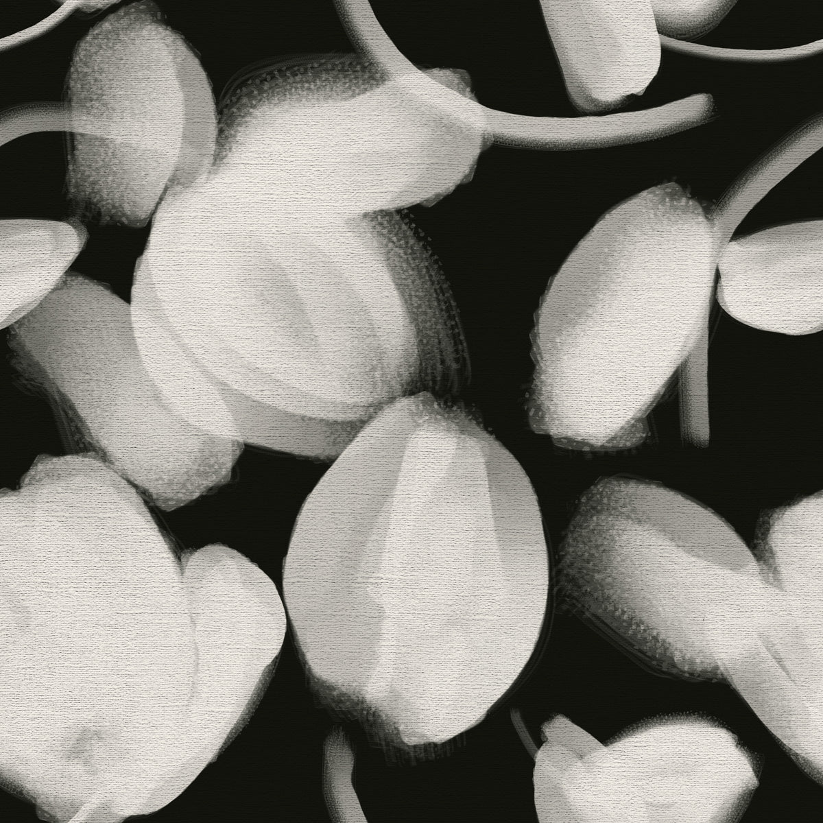 Petal Press - CASAMONTE