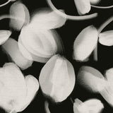 Petal Press - CASAMONTE