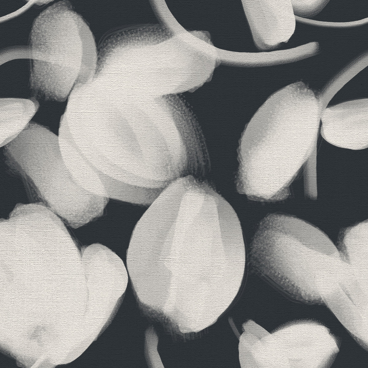 Petal Press - CASAMONTE