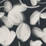 Petal Press - CASAMONTE