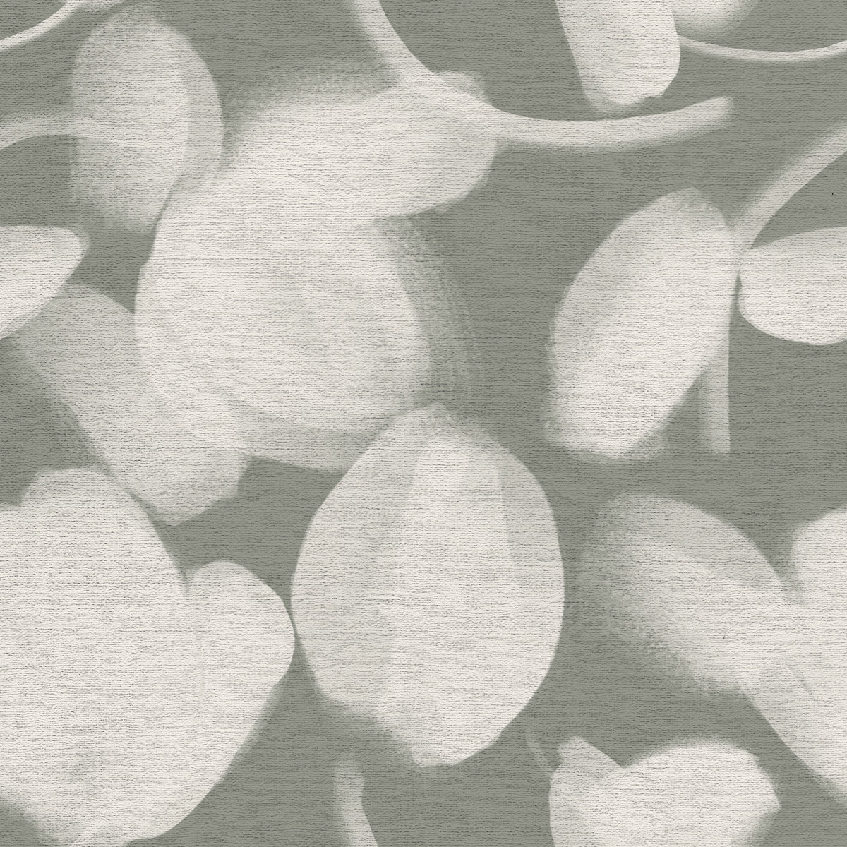 Petal Press - CASAMONTE