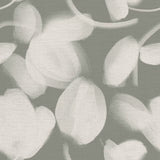 Petal Press - CASAMONTE