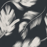 Shadow Leaf - CASAMONTE