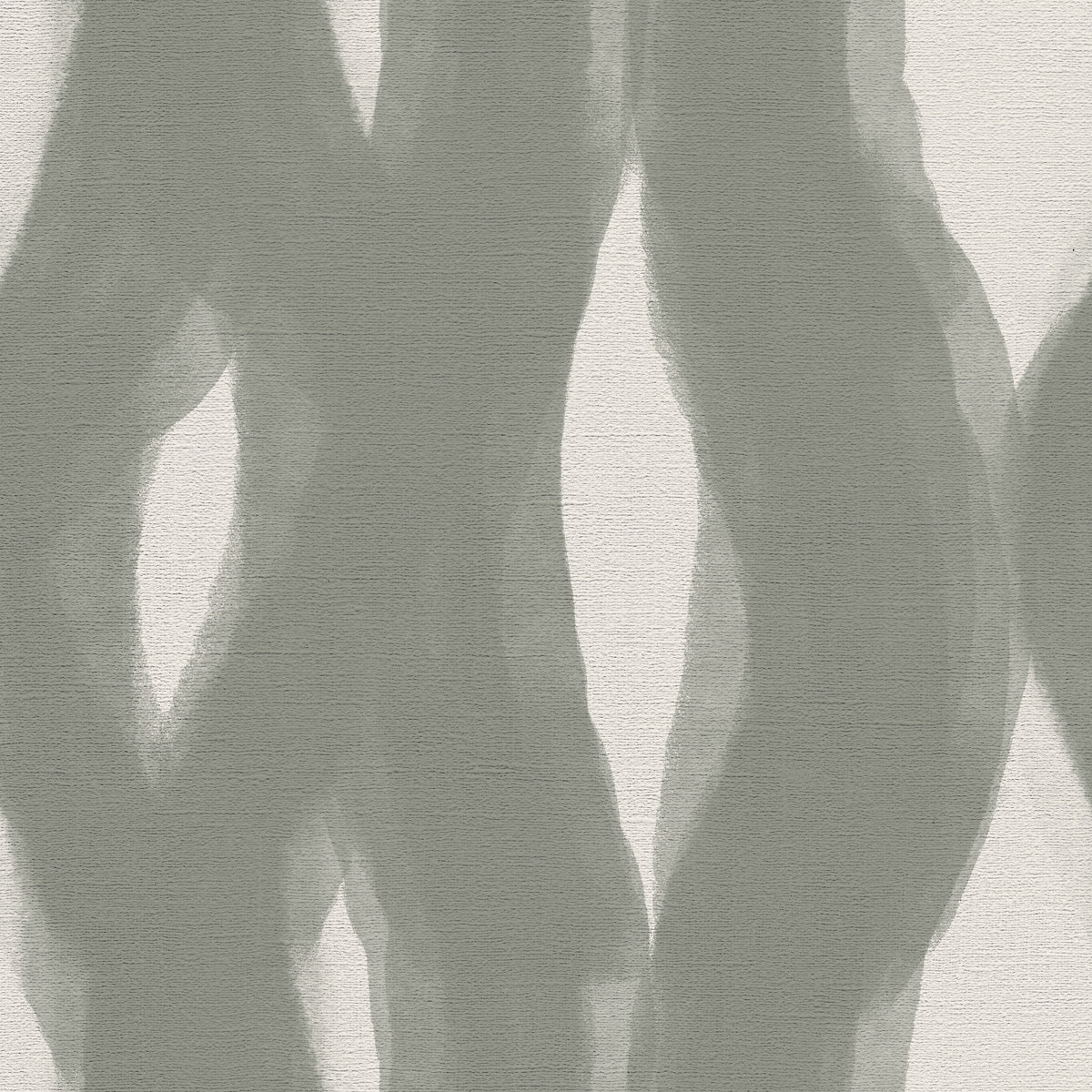Veiled - CASAMONTE